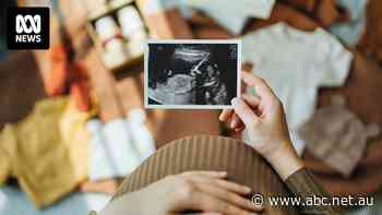 'Storage isn't limitless': As more Australians freeze their eggs, how are fertility clinics preparing for the future?