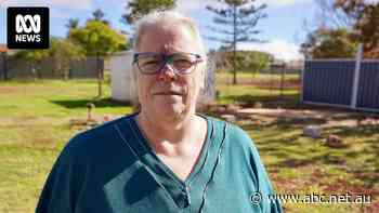 Donna thought a tiny house would give her freedom but then the builder disappeared with her money