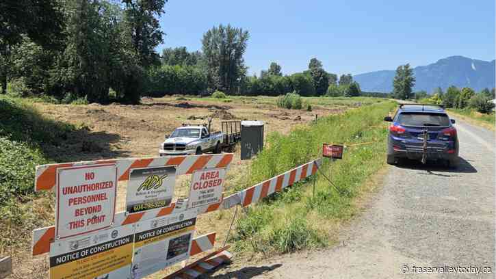 Wetlands restoration project begins near Vedder Rotary Trail in Chilliwack