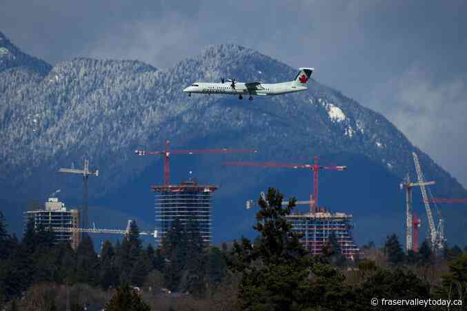 Eels writhe on Vancouver airport’s tarmac after escaping from Air Canada cargo box