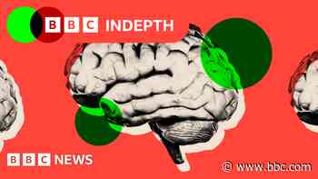 Can we change how our brains age? These scientists think it’s possible