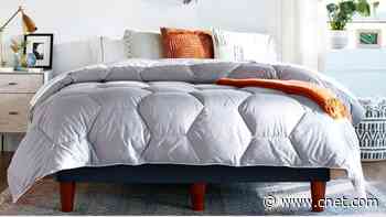 Best Comforters for 2024