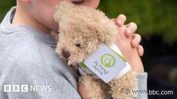 Charity launches bear to help grieving children