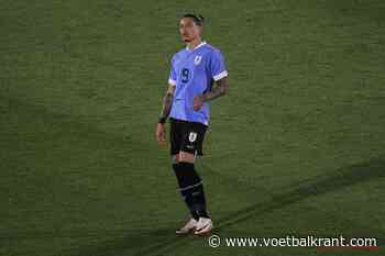 🎥 Hallucinante beelden vanop Copa America: Spelers van Uruguay, met Darwin Nunez voorop, gaan in de tribunes zwaar op de vuist met supporters