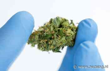 5 dingen die je moet weten over medicinale cannabis