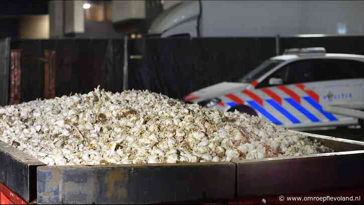 Urk - Douane vindt 10 kilo cocaïne in lading knoflook, vraag of Urker transporteur er vanaf wist