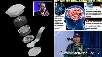 Neuralink enrols its second test patient just two months after the first brain chip recipient suffered potentially life-threatening complications - and Elon Musk claims trial numbers could be in 'high single digits this year'