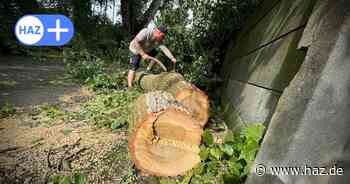 Hannover: Schwerer Ast fällt auf Hausdach - Feuerwehr rückt an