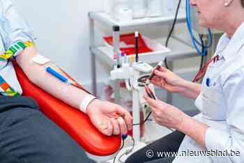Bloed geven aan Zilvermeer of in Havenhuis: Rode Kruis organiseert bloeddonaties op speciale plaatsen