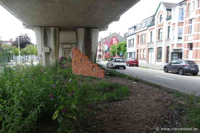 ‘Uitdagendste project van afgelopen jaren’ onder spoorwegbrug wekt gemengde reacties op: “Mooi of lelijk? Natuur beslist zelf wat er zal floreren”