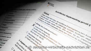 Zensus: Einwanderer im Schnitt deutlich jünger als Deutsche