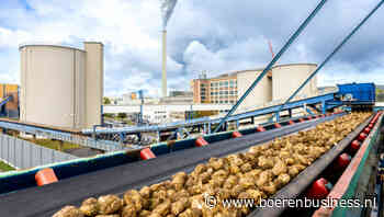 Lagere suikerprijs zuur voor resultaten Südzucker