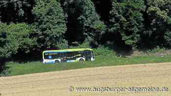 Aktivvo-System: Vielleicht die letzte Rettung