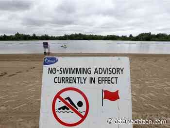 All city beaches show elevated E. coli levels Thursday