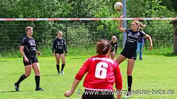 Faustball-Bundesliga: Calw erwartet Sonntag der Entscheidungen