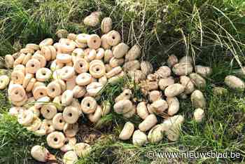 Stapels donuts, broodjes en pizzabodems illegaal in Genoeldselderen gedumpt
