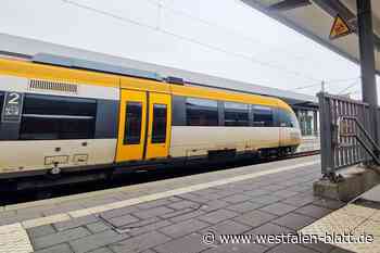 Bauarbeiten bringen Zugverbindungen aus dem Takt