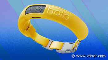 Get your pup the smart Halo Collar 3 that's $100 off ahead of Prime Day