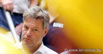 Nach Baerbocks Verzicht auf Kanzlerkandidatur: Die Grünen versammeln sich hinter Habeck