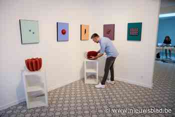 Nieuwe hedendaagse kunstgalerie Roman De Vero opent in de Kaasstraat