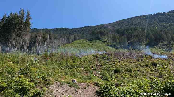 Human-caused fire breaks out east of Harrison Lake, considered out of control: BCWS