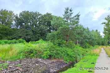 Bufferbekken moet overstromingen op Bilzers bedrijventerrein voorkomen