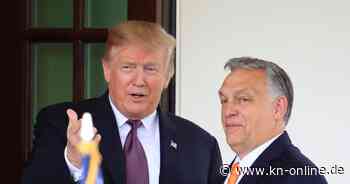 Viktor Orban plant nach Nato-Gipfel angeblich ein Treffen mit Trump