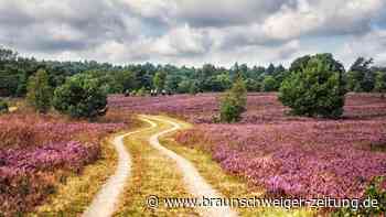 „Wehrmachtslied“ im Zelt des Volksfestes in Bettmar?