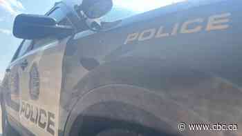 Calgary woman charged after dog dies in hot car