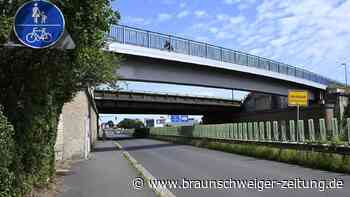 Ekel-Brücke in Braunschweig: Was tun gegen Tauben-Plage?