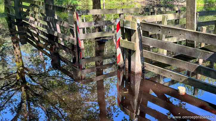 Fietspad al maanden onder water door vele regen: 'Trek laarzen aan'