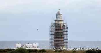 Scaffolding erected at St Mary's Lighthouse as repair job continues