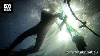 Legal 'breakthrough' sees roles reversed for First Nations fishers forced to prove connection to country