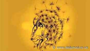 What do you see FIRST? Brain teaser reveals the most respected part of your personality