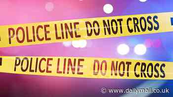 Gun restriction laws DON'T lead to decrease in homicides, nationwide analysis shows