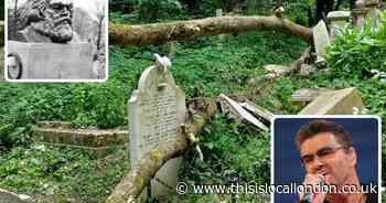 Highgate Cemetery ash trees under threat from ash dieback