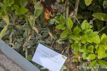 Liebe Briefe liegen am Straßenrand