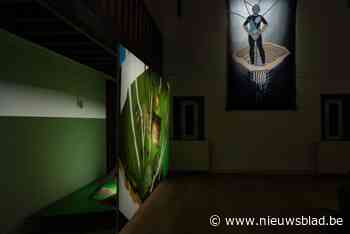 Expo ‘Gegrond’ in Emile Van Dorenmuseum verbindt oude en jonge kunstenaars