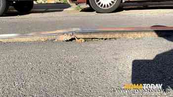 Binari e asfalto deformati dal caldo, tram a rilento a Centocelle
