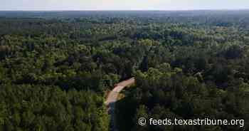 What’s the value of planting trees? Conservation groups say a new formula can tell them.