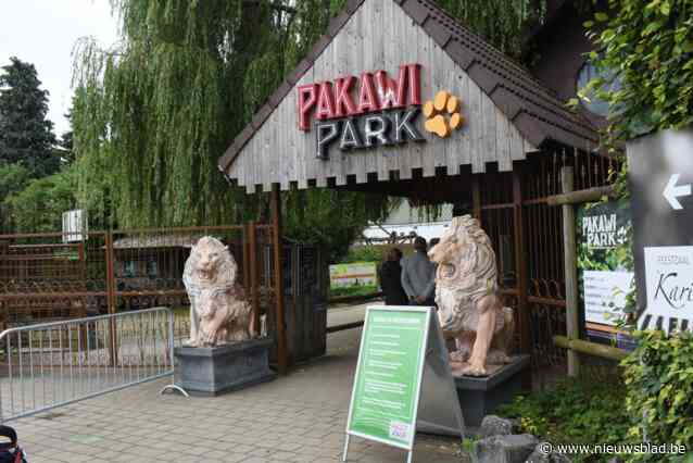 Drie jaar cel voor vrijwilliger (35) Pakawi Park: “Hij achtervolgde meisje met geslachtsdeel uit zijn broek”