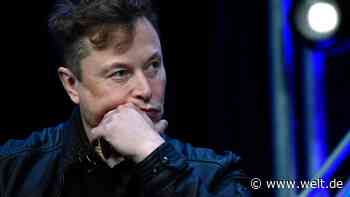 Elon Musks X droht wegen blauer Häkchen hohe Geldstrafe