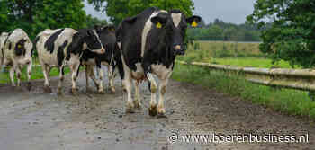 Ierse melkaanvoer trekt weer wat bij