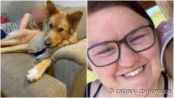 'An avoidable tragedy': Calgary woman charged after dog dies in hot car
