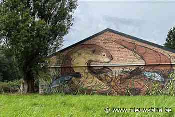 Er is een otter in de Heindonkstraat: WWF en Willebroek eren boegbeeld van getijdennatuur
