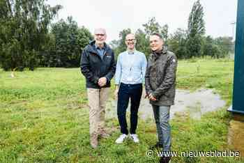 Campus Vesta gaat PFAS uit bodem saneren met wilgen en hennep: “Kan wereldwijde gamechanger worden”
