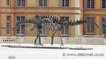 The largest dinosaur skeleton in the WORLD goes on sale: Huge Apatosaurus named 'Vulcain' measures 69ft long and is more than 80% complete - and could fetch a whopping £4.2 MILLION at auction