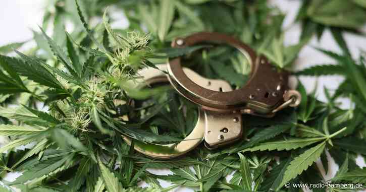 Beamte entdecken bei Ruhestörung Cannabis-Mini-Plantage