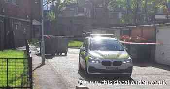 Three protonitazene deaths in Newham and Redbridge, court told