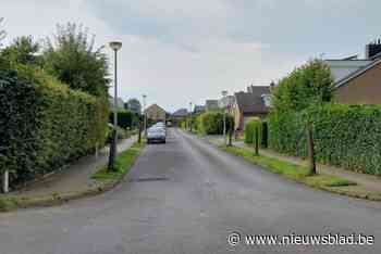 Zieke laanbomen in Uilenspiegelpark preventief gerooid: “We wilden geen risico nemen, maar er komen zeker nieuwe bomen”